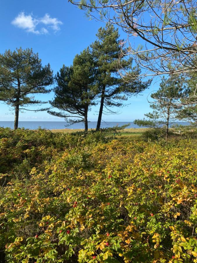 Altes Pastorenhus - Land Und Meer Osterbruch Bagian luar foto