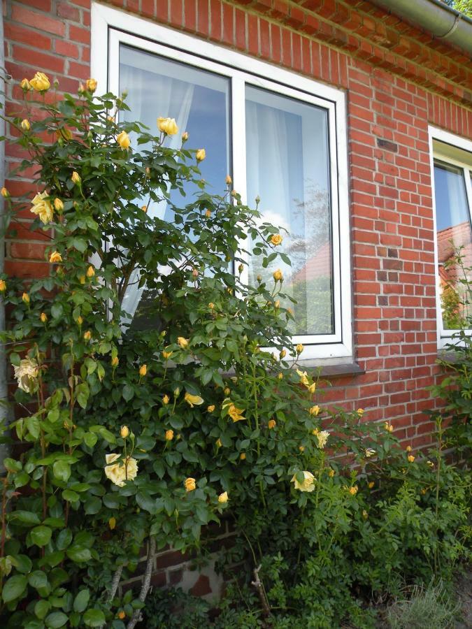 Altes Pastorenhus - Land Und Meer Osterbruch Bagian luar foto